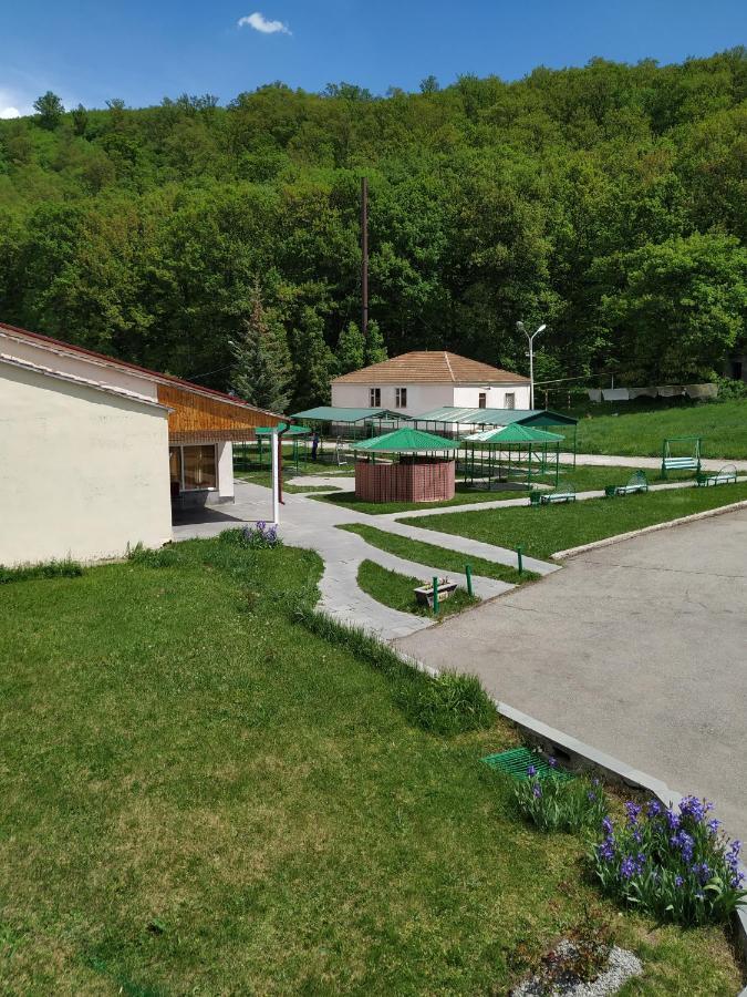 Aliq Hotel Tsaghkadzor Εξωτερικό φωτογραφία